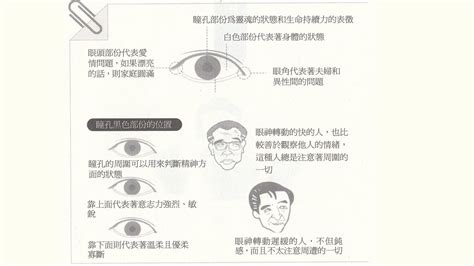 眼睛面相|面相入门